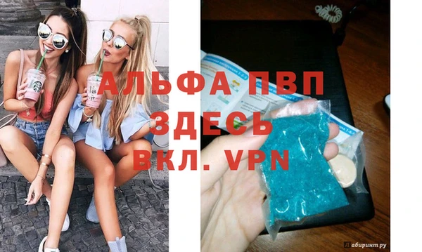 СК Зеленокумск