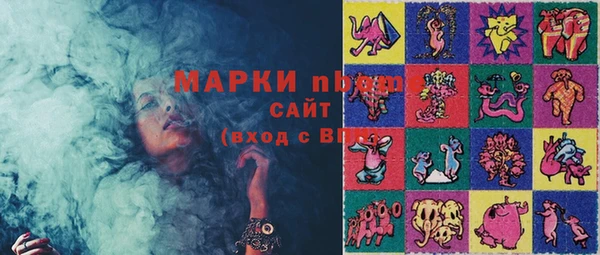 СК Зеленокумск