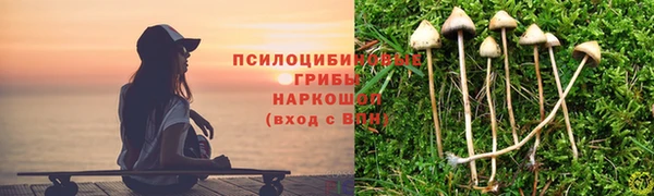 СК Зеленокумск