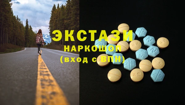СК Зеленокумск