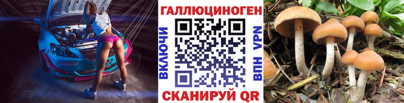 Купить  Белорецк  Псилоцибиновые грибы прущие грибы 